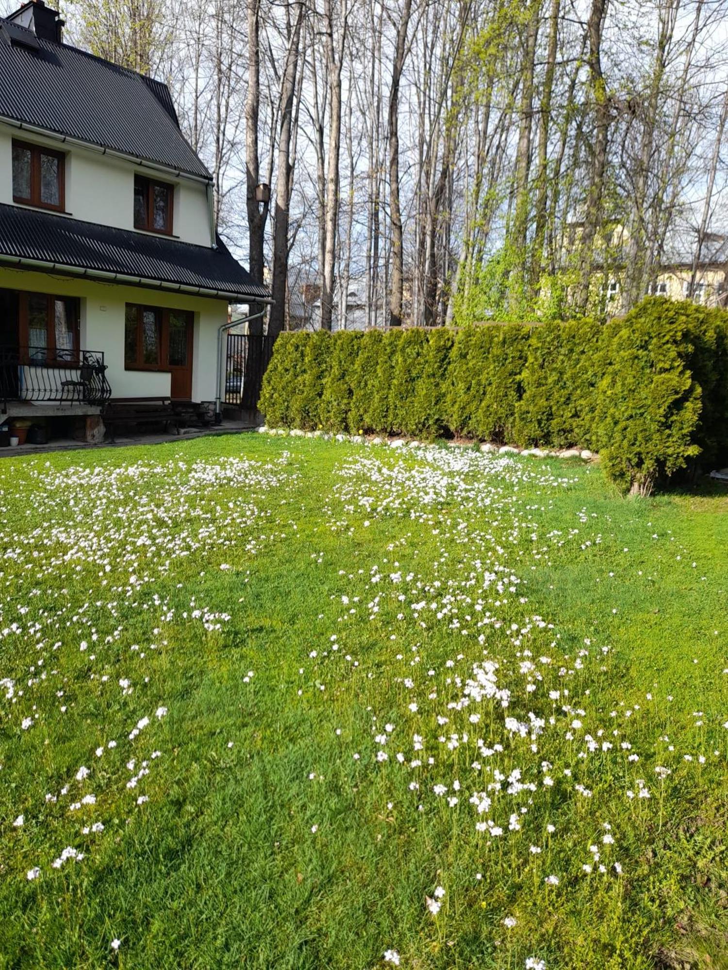 Pokoje Goscinne Kozica Zakopane Bagian luar foto